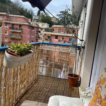 Vaniglia * Ραπάλο