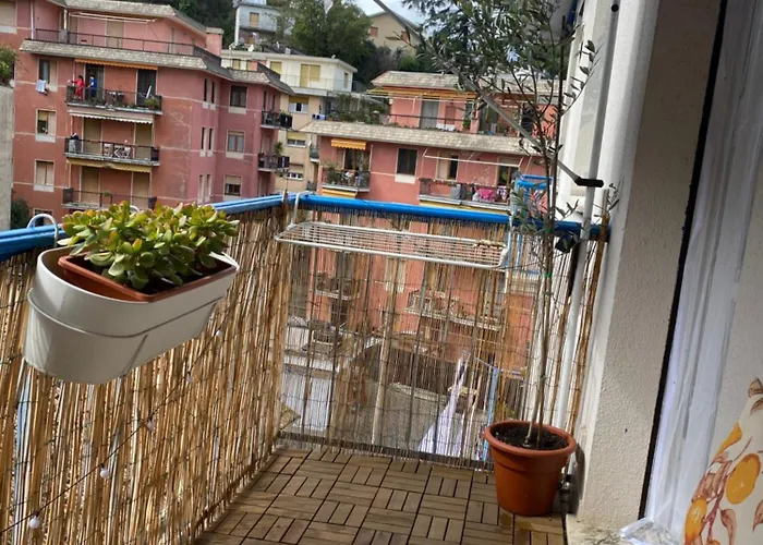 Vaniglia * Рапалло